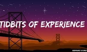 Tidbits of Experience