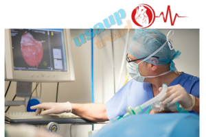 Cardiology cardiac region can be detected from images of the heart 