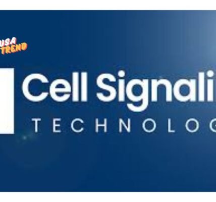 Cell Signaling Technology KRAS: