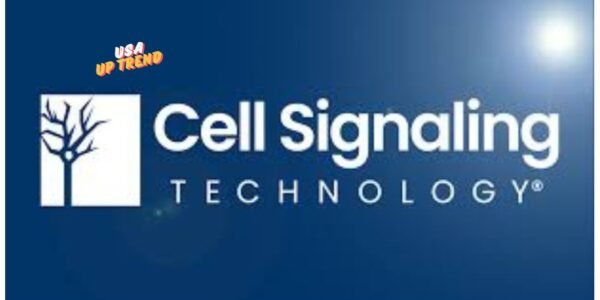 Cell Signaling Technology KRAS: