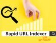 seo agency rapid url indexer