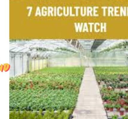 How Do Trends Help Agriculture