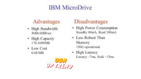 What are the disadvantages of IBM?