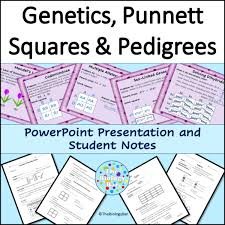 Pedigree, Punnett Square, and Protein Synthesis